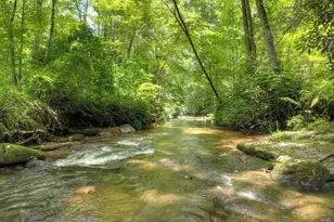 100 Stanley Creek Crossing, Blue Ridge, GA 30513 - Photo 10