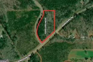 2 03 Ac Johnson Mill Rd, Hamilton, GA 31811 - Photo 1