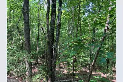 2.03 Ac Johnson Mill Road, Hamilton, GA 31811 - Photo 4