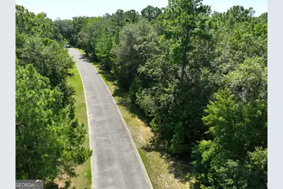 Lot 50 Tar Flower Trail, Waverly, GA 31565 - Photo 8