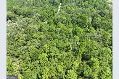 Lot 50 Tar Flower Trail, Waverly, GA 31565 - Photo 18
