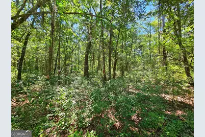 Lot 50 Tar Flower Trail, Waverly, GA 31565 - Photo 46