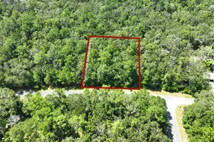 Lot 50 Tar Flower Trail, Waverly, GA 31565 - Photo 1