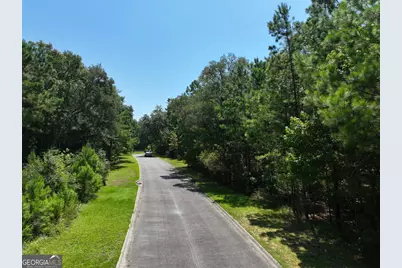 Lot 50 Tar Flower Trail, Waverly, GA 31565 - Photo 38