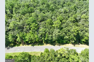 Lot 50 Tar Flower Trail, Waverly, GA 31565 - Photo 10