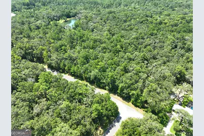 Lot 50 Tar Flower Trail, Waverly, GA 31565 - Photo 26