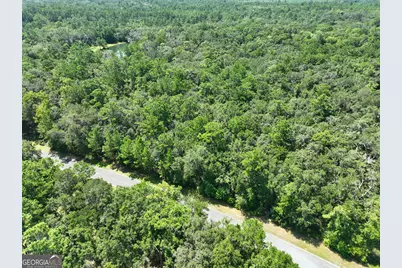 Lot 50 Tar Flower Trail, Waverly, GA 31565 - Photo 30