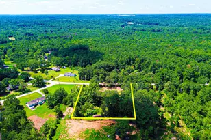 767 Old Jackson Rd, McDonough, GA 30252 - Photo 34