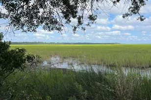 7211 Blythe Island Hwy, Brunswick, GA 31523 - Photo 56