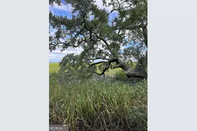 7211 Blythe Island Highway, Brunswick, GA 31523 - Photo 60