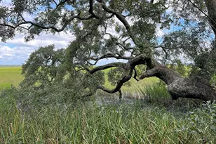 7211 Blythe Island Hwy, Brunswick, GA 31523 - Photo 60