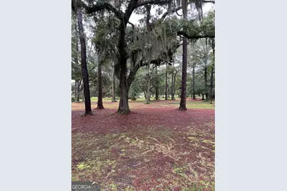 7211 Blythe Island Highway, Brunswick, GA 31523 - Photo 48