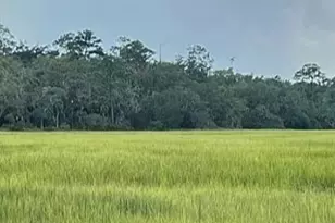 7211 Blythe Island Hwy, Brunswick, GA 31523 - Photo 80