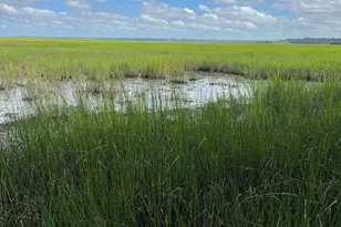 7211 Blythe Island Hwy, Brunswick, GA 31523 - Photo 56