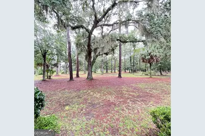 7211 Blythe Island Highway, Brunswick, GA 31523 - Photo 50