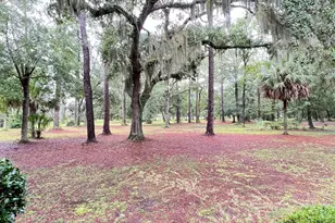 7211 Blythe Island Hwy, Brunswick, GA 31523 - Photo 50