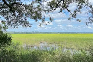 7211 Blythe Island Hwy, Brunswick, GA 31523 - Photo 54