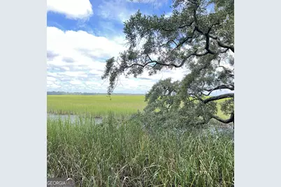 7211 Blythe Island Highway, Brunswick, GA 31523 - Photo 8