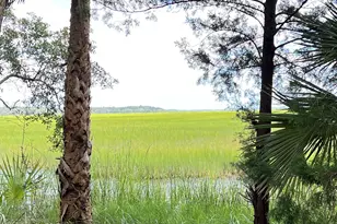 7211 Blythe Island Hwy, Brunswick, GA 31523 - Photo 62