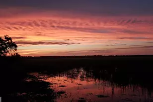 7211 Blythe Island Hwy, Brunswick, GA 31523 - Photo 12