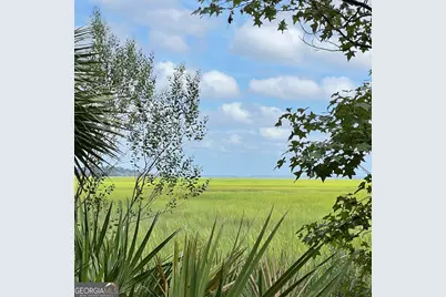 7211 Blythe Island Highway, Brunswick, GA 31523 - Photo 52