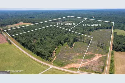 Lot 7 Mayfield Road, Flovilla, GA 30216 - Photo 6