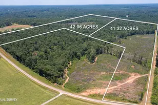 Lot 7 Mayfield Rd, Flovilla, GA 30216 - Photo 6