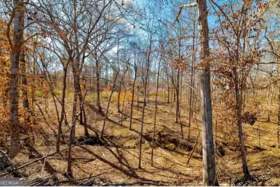 Lot 7 Mayfield Road, Flovilla, GA 30216 - Photo 4