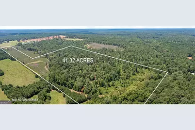 Lot 7 Mayfield Road, Flovilla, GA 30216 - Photo 2