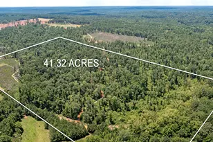 Lot 7 Mayfield Rd, Flovilla, GA 30216 - Photo 2