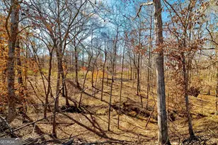 Lot 4 Mayfield Rd, Flovilla, GA 30216 - Photo 8