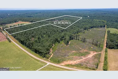 Lot 4 Mayfield Road, Flovilla, GA 30216 - Photo 4