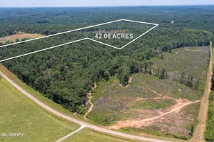 Lot 4 Mayfield Rd, Flovilla, GA 30216 - Photo 4