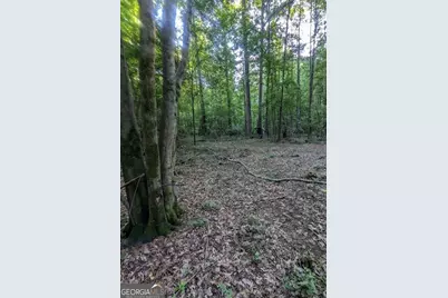 2773 River Road, Ellenwood, GA 30294 - Photo 2