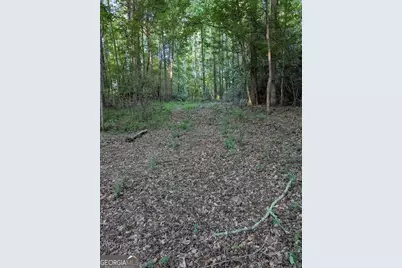 2773 River Road, Ellenwood, GA 30294 - Photo 4