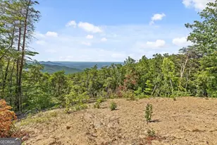 4404 Hwy 52, Chatsworth, GA 30705 - Photo 10