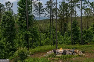 230 High River Landing, Ellijay, GA 30540 - Photo 22