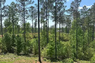 230 High River Landing, Ellijay, GA 30540 - Photo 4