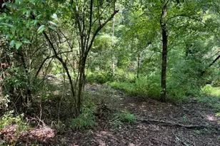 127 S Ole Hickory Trail, Carrollton, GA 30117 - Photo 1