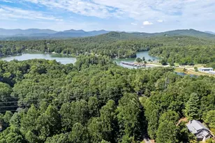 311 Deerwood Trail Rd, Blairsville, GA 30512 - Photo 86