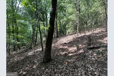 0 Mountain Sweet, Clarkesville, GA 30523 - Photo 10