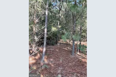 0 Bowers Street #LOT 1-8, Bowman, GA 30624 - Photo 4