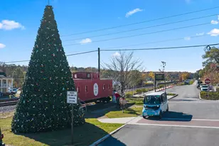 6737 Leigh St, Flowery Branch, GA 30542 - Photo 104
