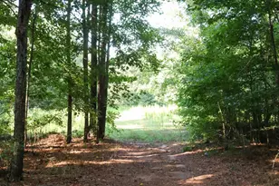 1224 Walker Rd, Madison, GA 30650 - Photo 46