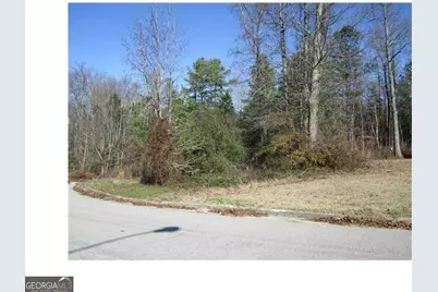 352 Greystone Lane, Douglasville, GA 30134 - Photo 4