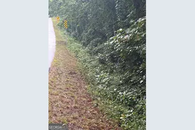 1931 Seven Forks Road #TRACT 5B, Martin, GA 30557 - Photo 2