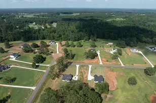 46 Millie Tr, Williamson, GA 30292 - Photo 62