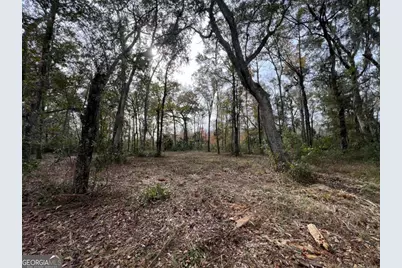 597 Salt Creek Way E, Brunswick, GA 31523 - Photo 2