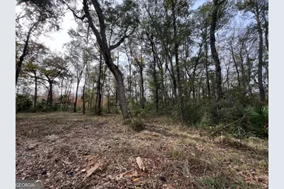 597 Salt Creek Way E, Brunswick, GA 31523 - Photo 10