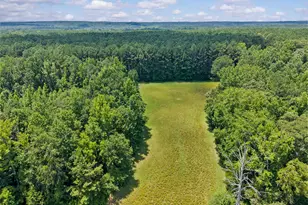 2720 Doster Rd, Madison, GA 30650 - Photo 56